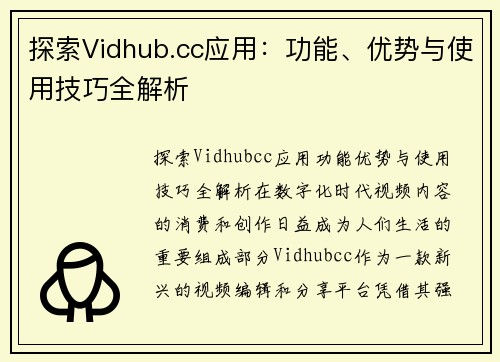 探索Vidhub.cc应用：功能、优势与使用技巧全解析